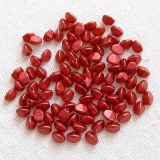 25 Gramm - pinch beads lava red